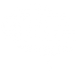 orlypearson.com